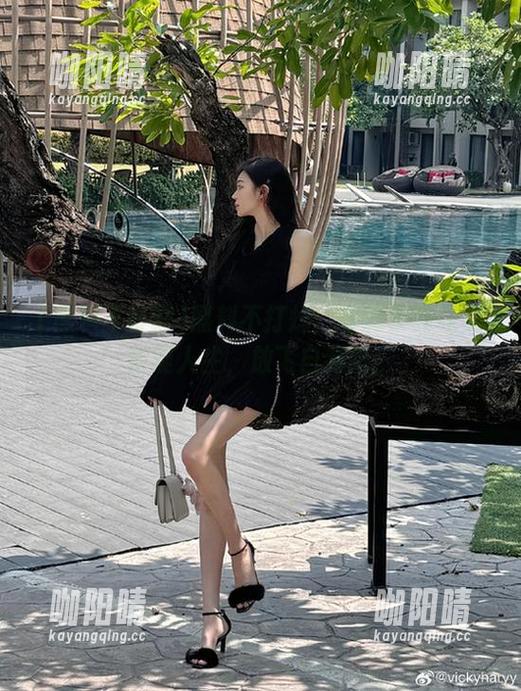 黑料不打烊 黑料不打烊:资源多到让你怀疑人生,放飞自我吧!